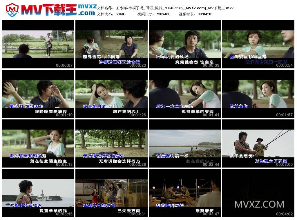 王冰洋-幸福了吗_国语_流行_MD403676